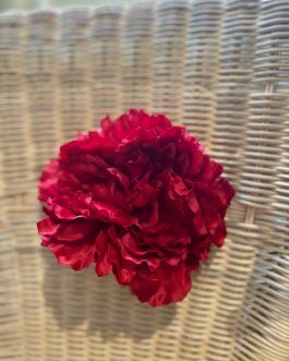 Peonias