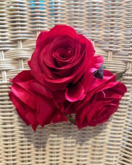 Rosas