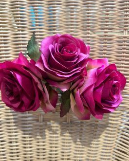 Rosas