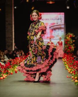 Modelo caminero